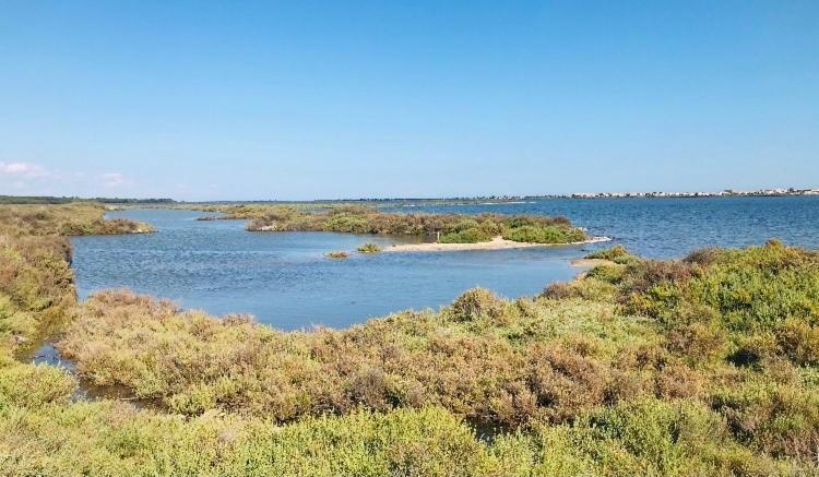 Le Nautica Plage T2 Climatise En Bord De Mer Frontignan Luaran gambar