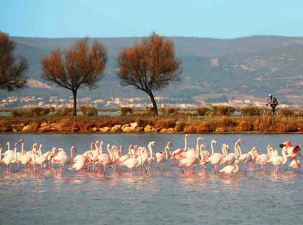 Le Nautica Plage T2 Climatise En Bord De Mer Frontignan Luaran gambar